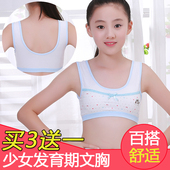 少女小背心文胸中大童学生内衣无钢圈纯棉胸衣胸罩发育期儿童抹胸