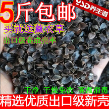 荞麦枕头 乔麦壳 枕芯 散装 纯荞麦皮枕头 荞麦皮 特级消毒荞麦壳