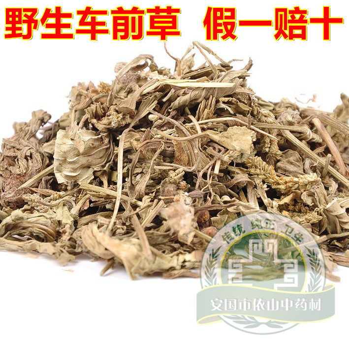 中药材野生车前草 干车前草 车轮菜 车前草茶 新货 同仁堂品质