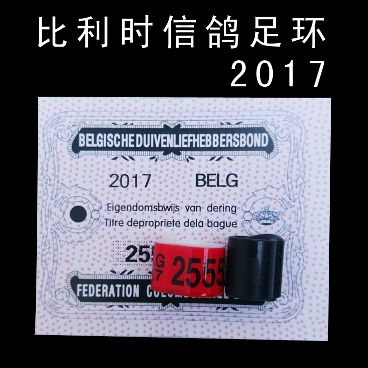 信鸽足环2017比利时带证外国belg带电子环包邮定做赛鸽用品用具