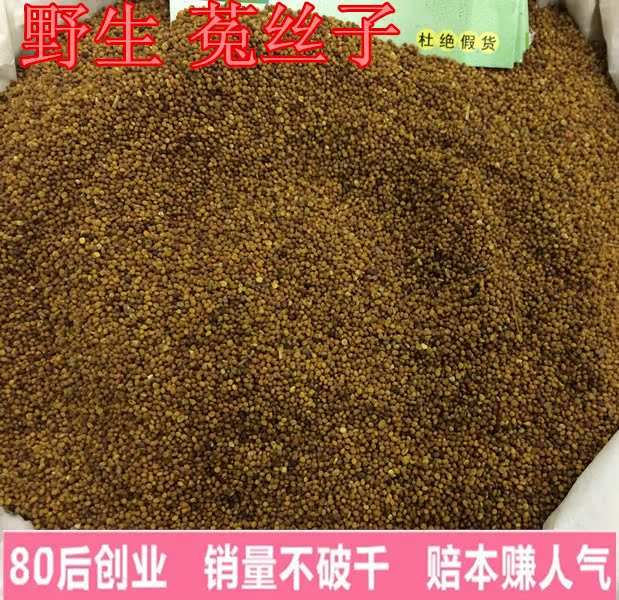 吐丝籽 野生菟丝子籽 东北野生菟丝子 中药材菟丝子 500g包邮