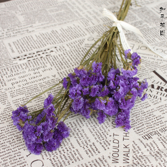 勿忘我干花摆件 网店拍照仿真花 干花道具 影楼唯美花束拍摄