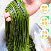 包邮 盐渍海带丝昆布新鲜野生特级厚非干货非即食五斤 天天特价