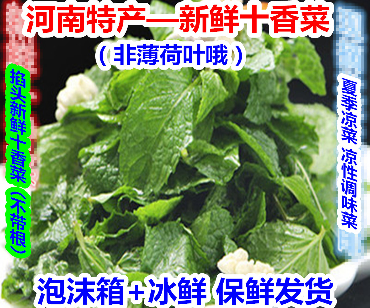 河南新鲜十香菜3斤装 石香菜绿薄荷香薄荷青 血香菜薄荷冰鲜 包邮