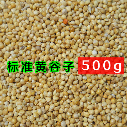 黄谷子带壳小米粟谷 虎皮玄凤牡丹鹦鹉 文鸟鸟粮鸟食饲料 500g