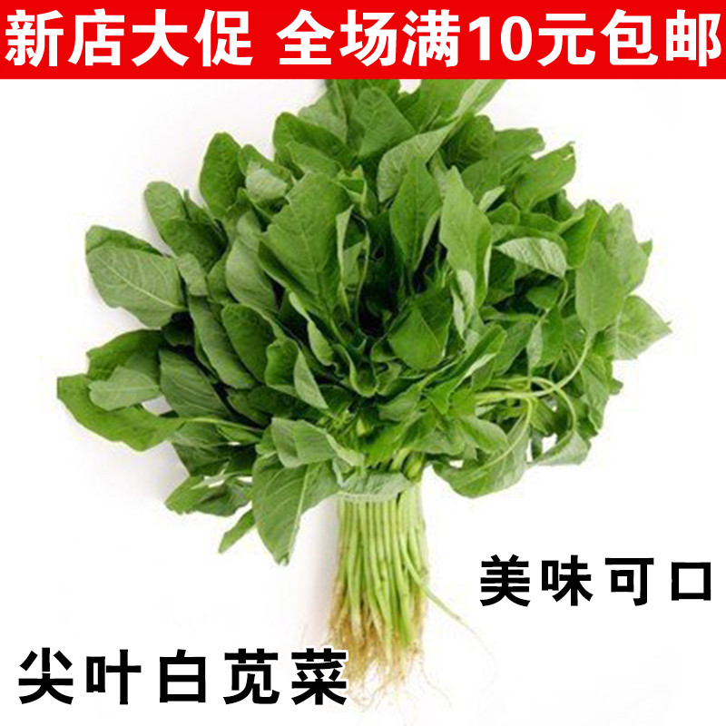 满包邮 庭院阳台盆栽种菜 柳叶白尖叶苋菜种子 耐热好