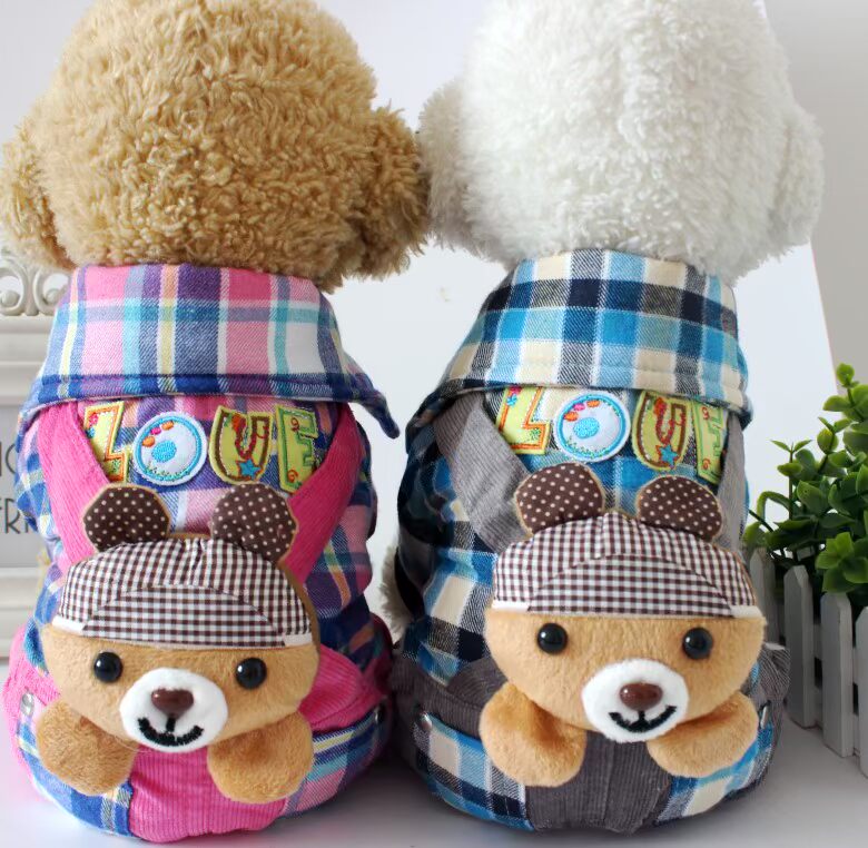 正品[泰迪熊狗的名字]买泰迪熊狗评测 广州买泰