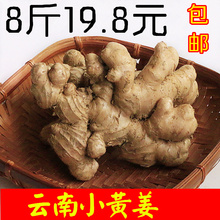 包邮 限量销售 8斤 小黄姜 无硫熏 老姜 云南山区种植新鲜生姜