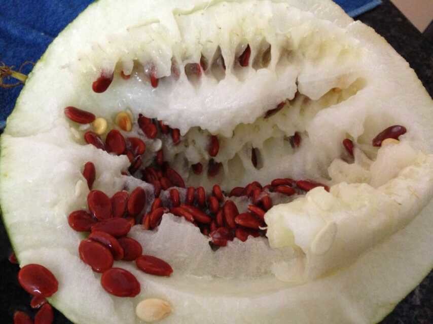 湖南特产道州县农家晒干生红瓜子江永喜籽瓜西瓜籽