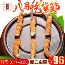 云麓冬虫夏草断草正品 西藏那曲野生新鲜虫草正品 西藏发货