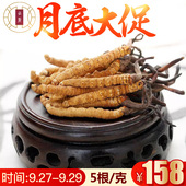 云麓冬虫夏草正宗西藏那曲新鲜虫草正品 拉萨 礼盒5条 发货