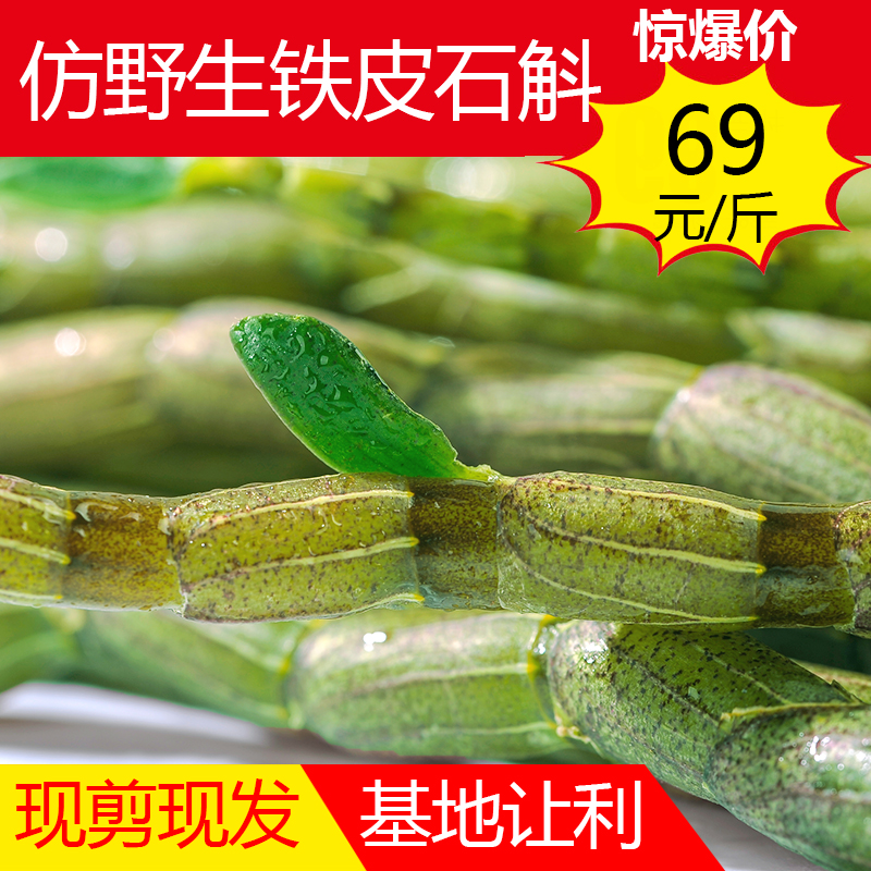 特级三年仿野生云南铁皮石斛鲜条纯天然新鲜滋补霍山雁荡山枫斗