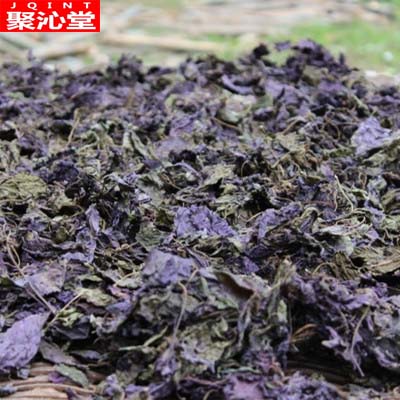 新鲜紫苏叶纯天然紫苏干去腥烧鱼虾蟹解表散寒中药材散装500g包邮