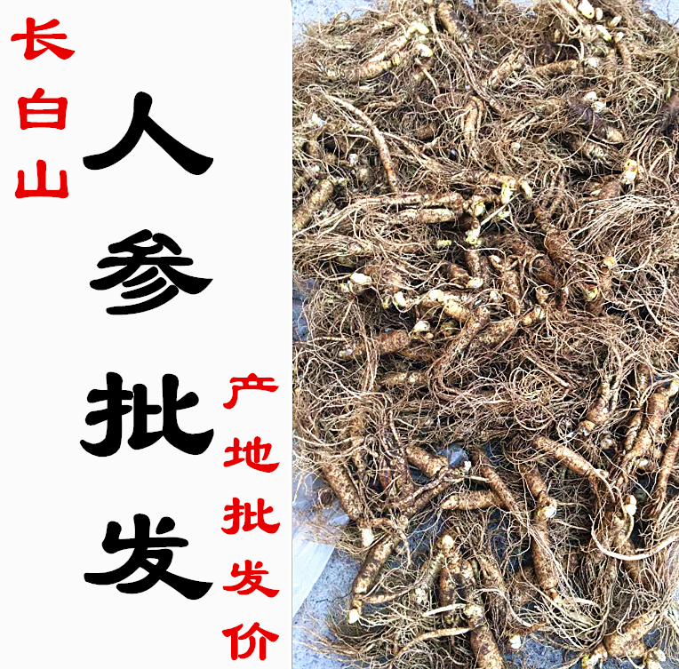 人参长白山生晒参干参5年生250g正品免邮人参