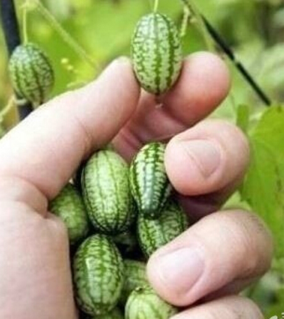 СײĴָ̨ˮ߲˻ļ