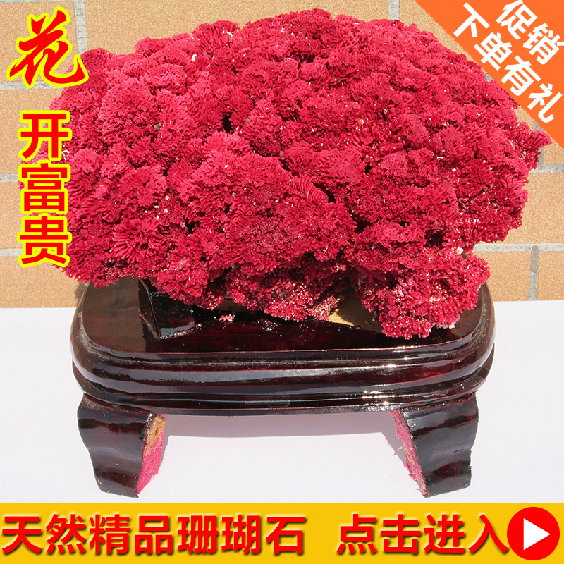 正品[石头剪刀布 英文]石头剪刀布英文歌评测 石