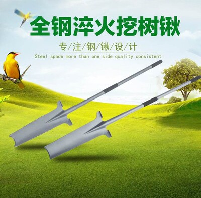45#10厘米带柄锰钢树铲 挖洞铲 移植锹 挖锄起苗器 园林农具包邮