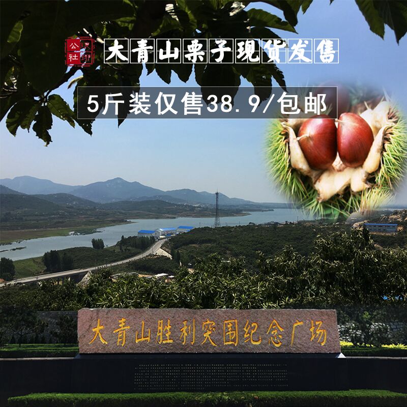 正品[山东移动3g]山东移动3g套餐资费评测 山东