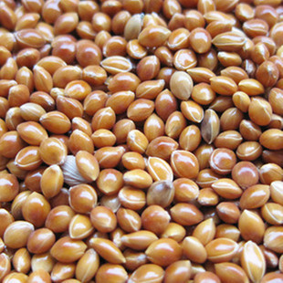 ӳʳĥʳԷ СʳȻ100g