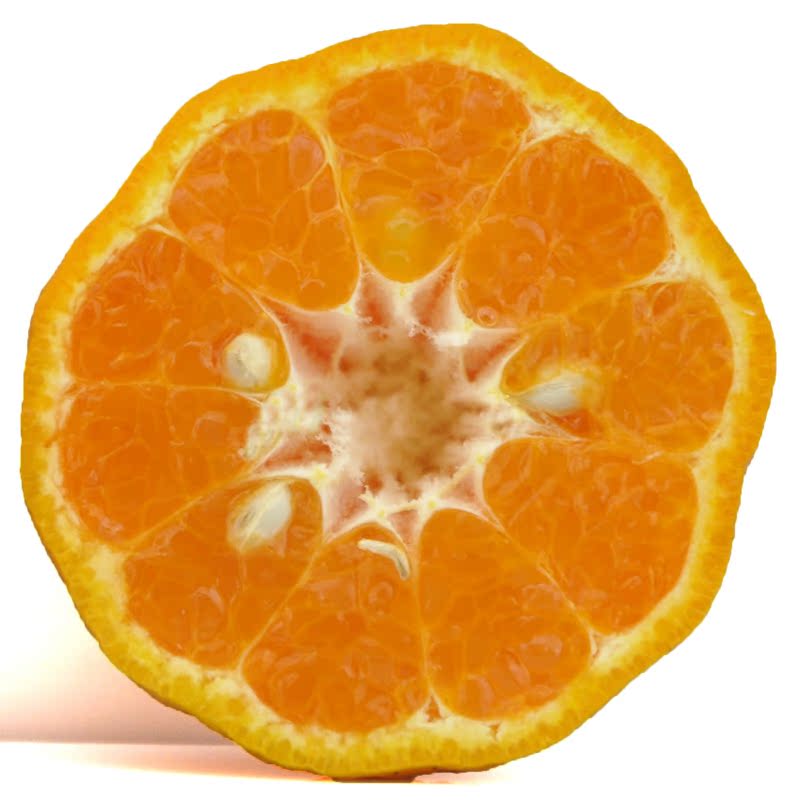 橘特级蜜桔椪柑新鲜特产桔子绿色 正宗芦柑永