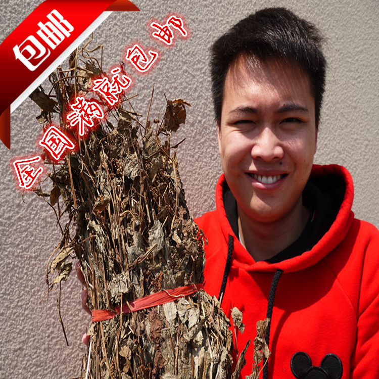 野生鱼腥草 农家采摘自制 天然鱼腥草茶 中药材折耳根干货 100g