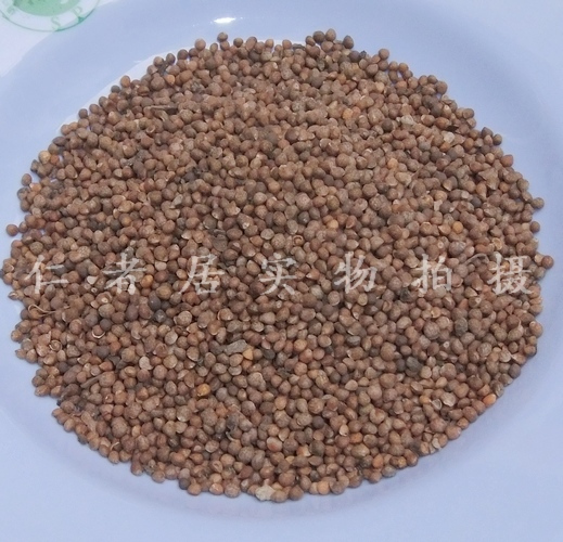 中药材紫苏子 苏子100克降气消痰，平喘，润肠