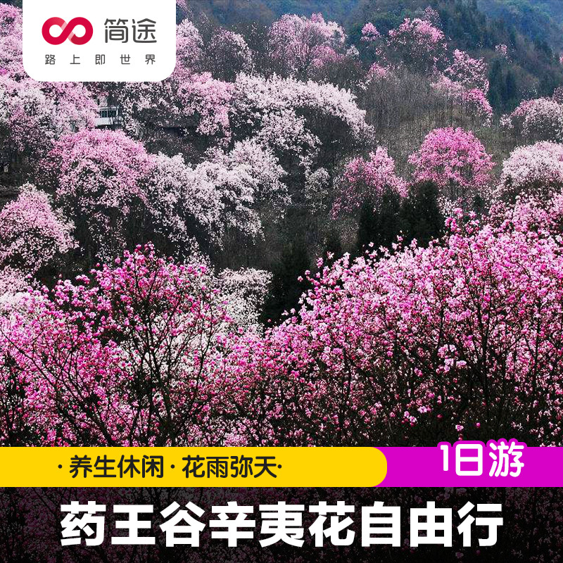 春季大促 简途旅行四川旅游 药王谷踏春赏花 辛夷花一