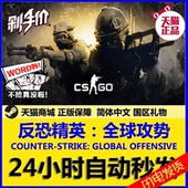 csgo反恐精英全球攻势 go国区全球秒发 pc中文steam正版CS