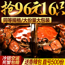 包邮 蟹澄居阳澄湖六月黄大闸蟹现货鲜活公母螃蟹礼盒装