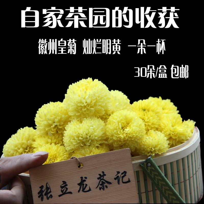 新黄山徽州皇菊花茶一朵一杯黄菊花茶婺源晓起皇菊花罐装包邮