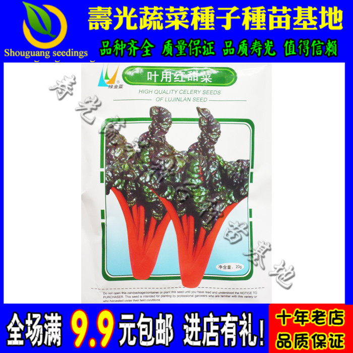 【保健特菜】红叶甜菜种子 台湾红梗菜 补血奇效 甜脆爽口 可盆栽