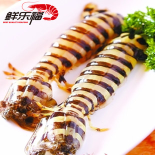 斑马 鲜乐福海鲜 斑马濑尿虾 鲜活进口野生斑马虾 皮皮虾