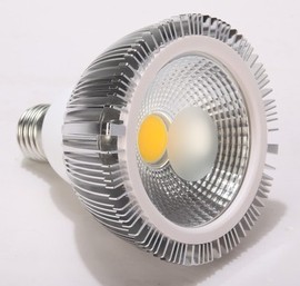 [灯泡植物]评价 创意灯泡植物怎么样