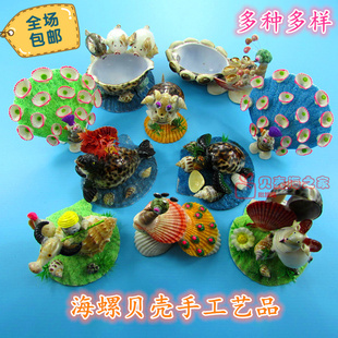 儿童玩具 天然海螺贝壳超大海螺号 海螺贝壳工艺品创意礼物儿童玩具