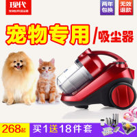 手持推杆吸尘器家用静音小型迷你便携除螨仪强