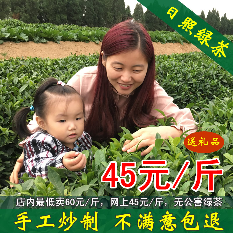 茶叶绿茶日照绿茶2016年春茶散装新茶叶自产自销雨前500g手工炒