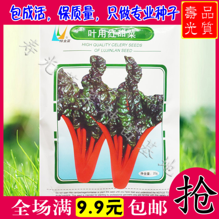 【保健特菜】红叶甜菜种子 台湾红梗菜 补血奇效 甜脆爽口 可盆栽