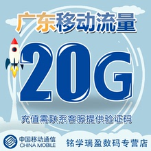 广东移动流量充值20GB手机上网叠加包省内通用流量加油包支持234g