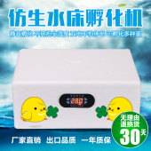 鸿业水床孵化机家用型鸡鸭鹅孵化器20枚小型56枚卵蛋箱全自动控温