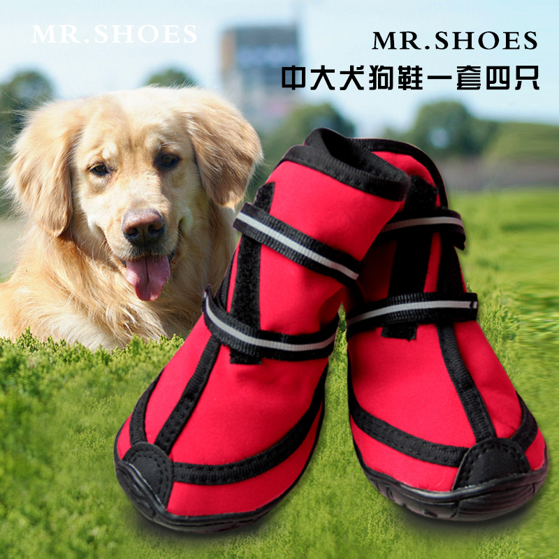 防滑大狗狗鞋子防水 金毛萨摩狗脚套 比熊泰迪秋冬贵宾犬宠物雨鞋