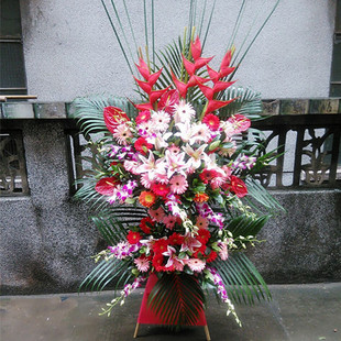 深圳开业鲜花花篮 龙华民治大浪坂田观澜 乔迁开张专人送货