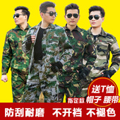 丛林军训服特种兵野战耐磨工作服 女男士 男夏季军装 远途迷彩服套装
