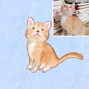 萌宠物狗狗猫咪q版头像定制转手绘卡通人物设计漫画动漫生日礼物