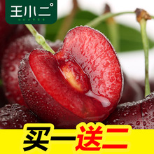 时令水果樱桃新鲜 批发现摘现发车厘子 包邮 山东烟台大樱桃 王小二