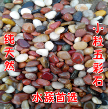 鹅卵石 养花石水族造景 鱼缸石头 雨花石原石 南京特产天然小粒