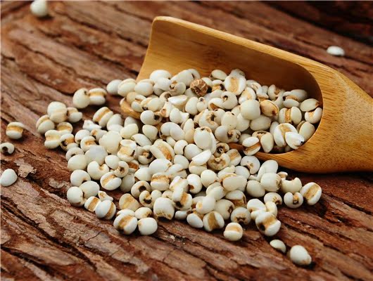 绿禾新鲜薏米东北小薏米仁 农家有机新货小粒薏仁米优质400g*2袋