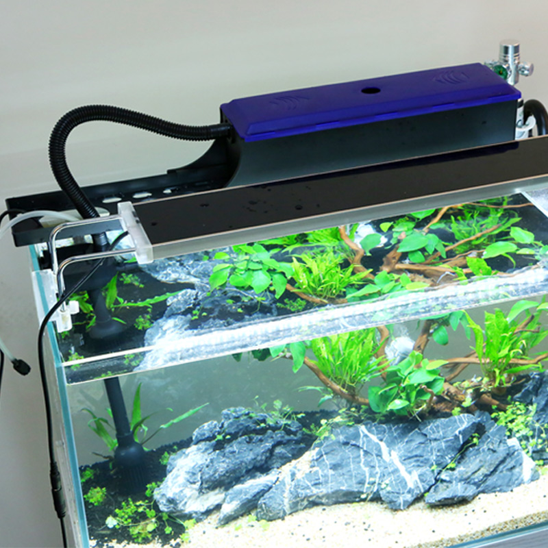 正品[上滤盒]自制上滤盒评测 鱼缸上滤盒制作图