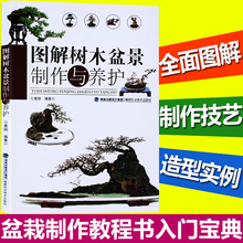 盆栽制作教程书入门宝典 盆景书 家庭园艺设计书工具书 花卉盆景造型书 图解树木盆景制作与养护 图书大全 养花书籍 正版现货