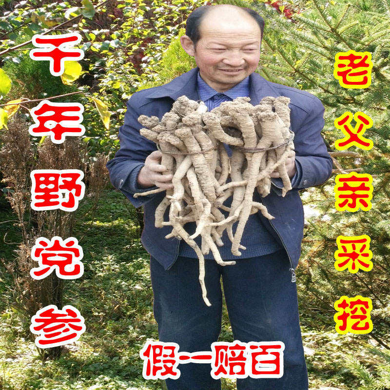 野党参岷县特级野党参无硫熏野生党参250克纹党参包邮