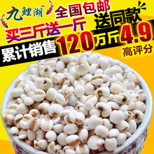 薏米仁薏仁米苡仁五谷杂粮粗粮油500g 新鲜贵州小薏米 包邮 买3送1